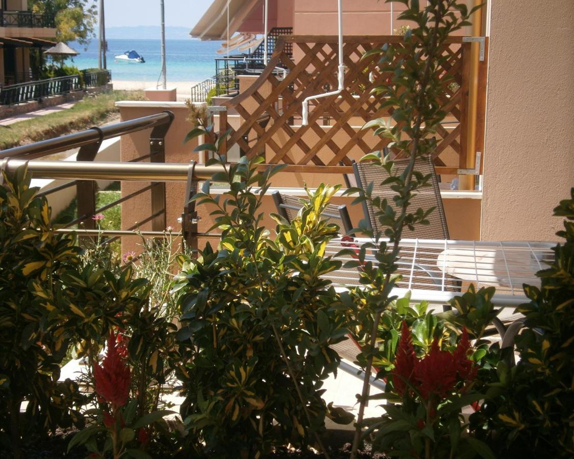 Dafni'S Seaside Luxury Studios Nikiti  Extérieur photo